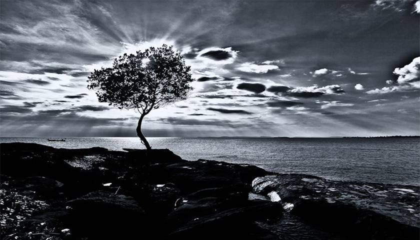 草莓视频黄版APP下载公司