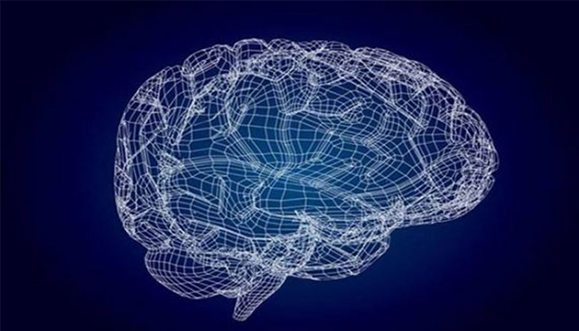 上海草莓视频黄版APP下载公司