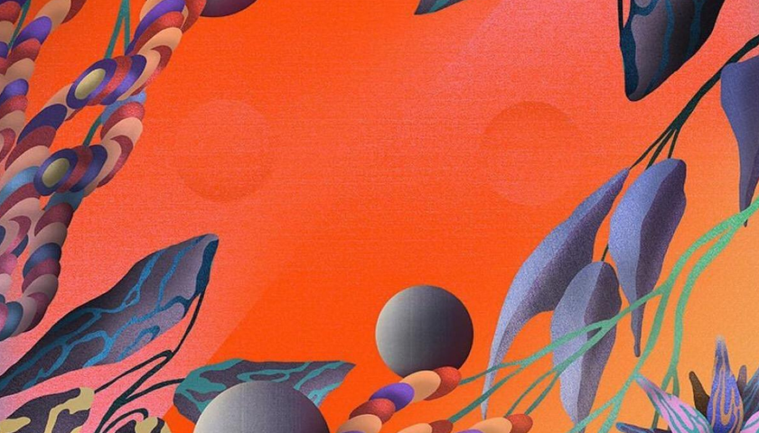 草莓视频黄版APP下载公司