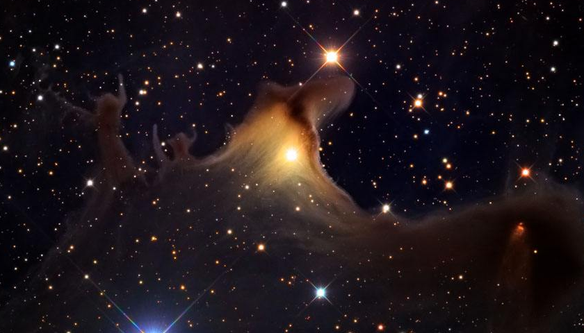 草莓视频黄版APP下载公司