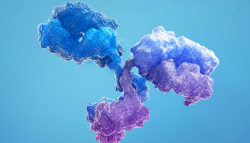 草莓视频黄版APP下载