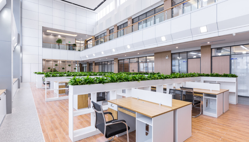 上市企业草莓视频黄版APP下载