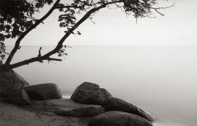 草莓视频黄版APP下载公司都是怎么样设计官网的以下几个小技巧告诉你