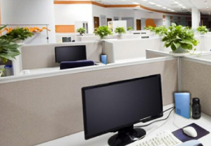 上海草莓视频黄版APP下载打造信息化发展新引擎