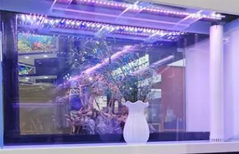 高端品牌草莓视频黄版APP下载之路，秘诀揭秘！