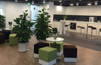 迈向成功的一步：上市集团草莓视频黄版APP下载